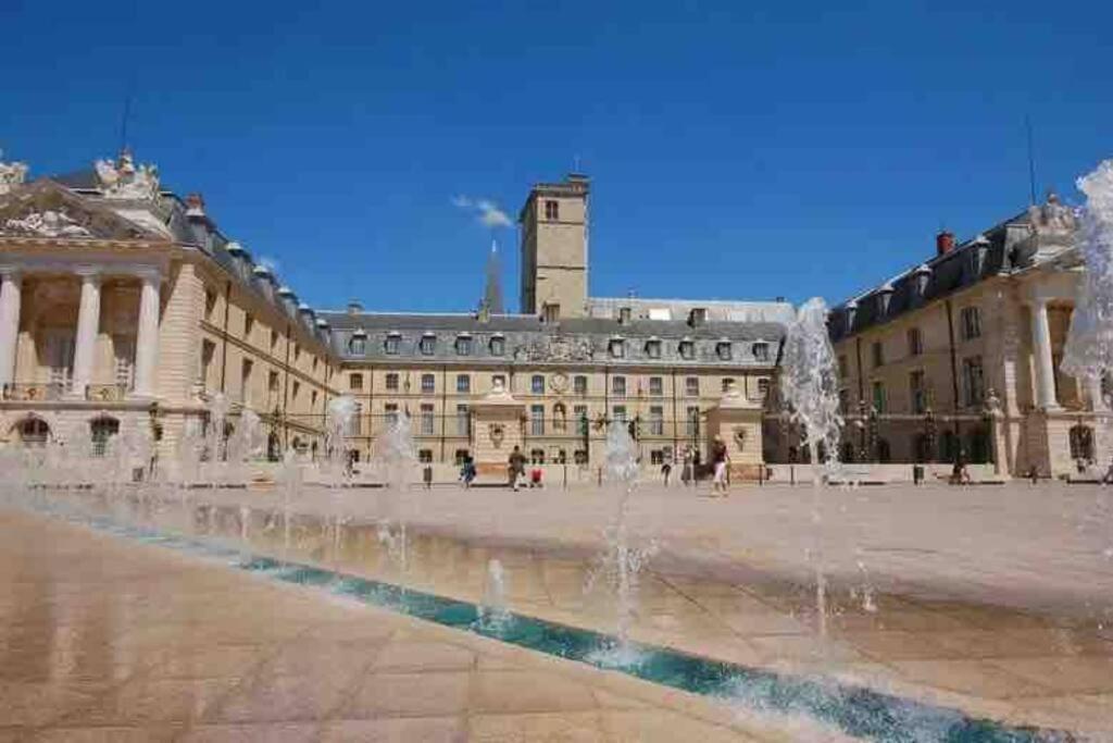 Dijon - Grand Studio Proche Parc Darcy & Gare Exterior foto